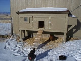 20081204014.jpg