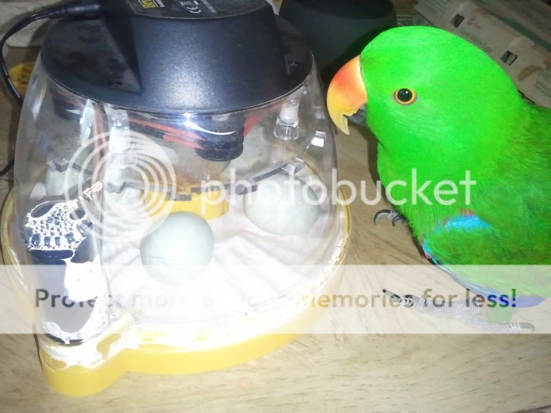 2011-02-09100709.jpg
