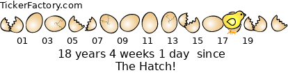 event.png
