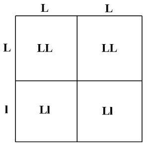 lavf2splitxlav.jpg