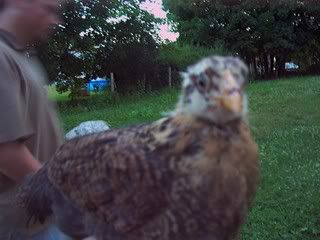 100_2576.jpg