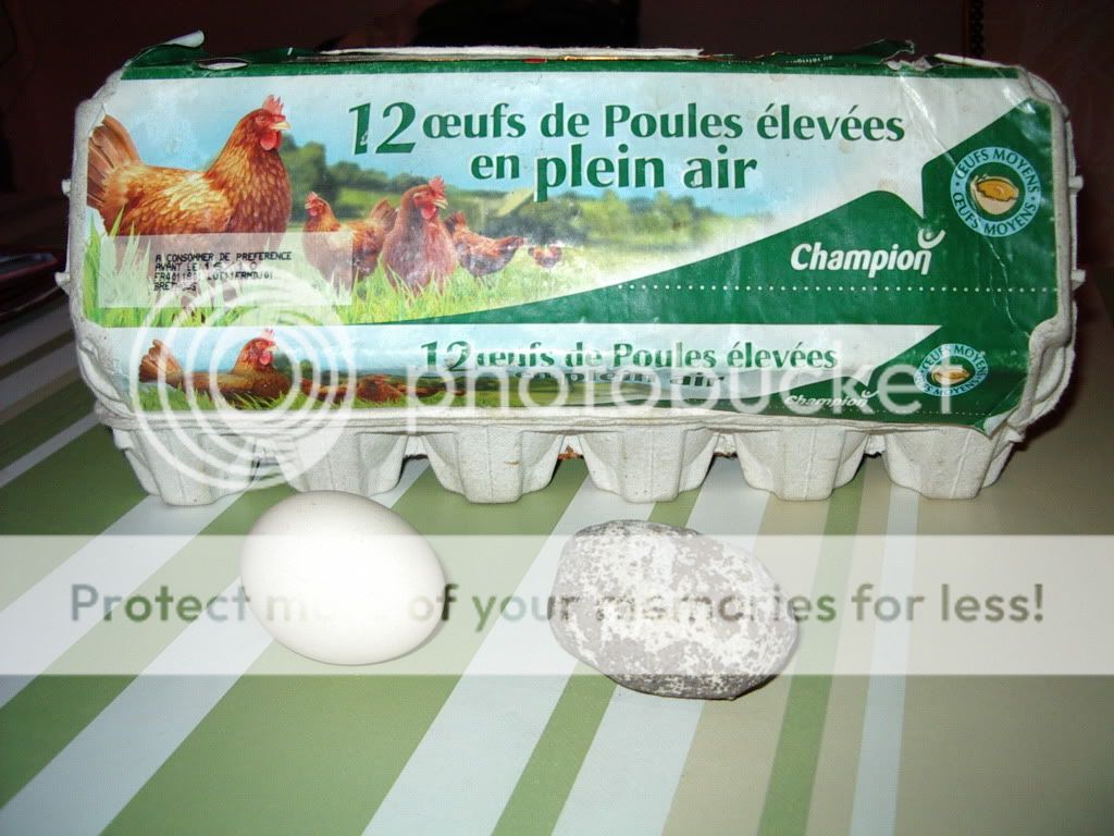 IMGP2256.jpg