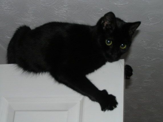 Picture078.jpg