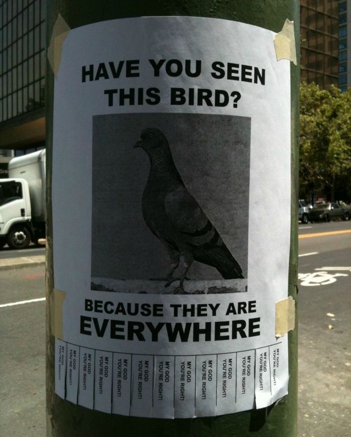 acid_picdump_93.jpg