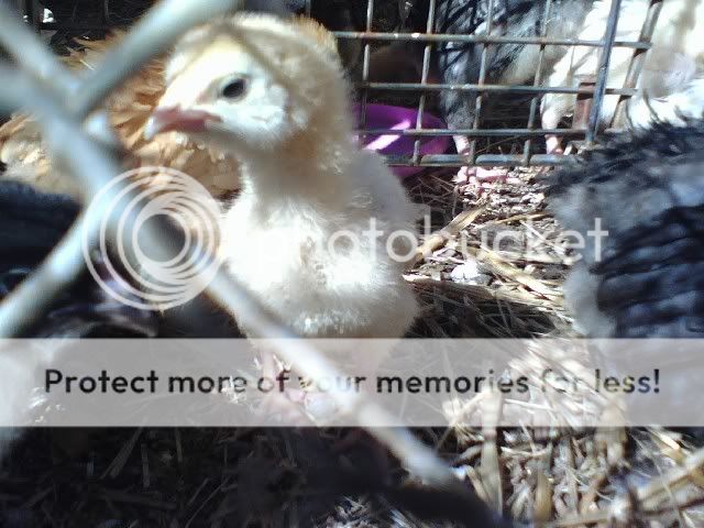 0222091352.jpg