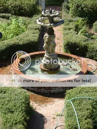 peabodyducks.jpg