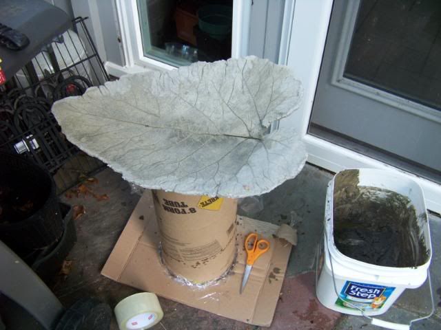 step9.jpg