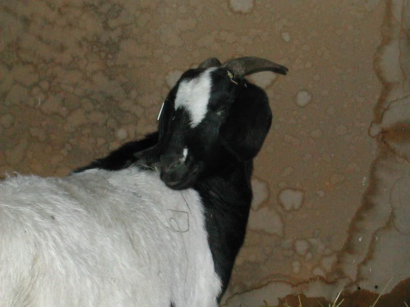 DSCN5122-1.jpg