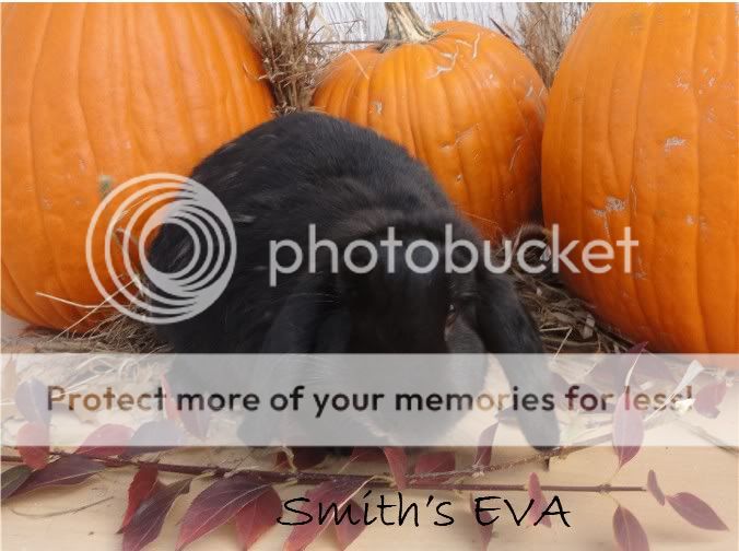 SmithsEVAface.jpg