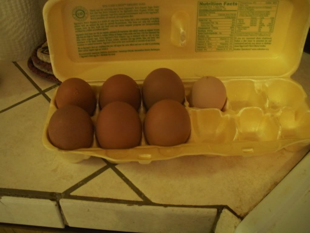 DSCN0302.jpg