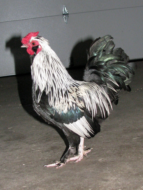 s640x480