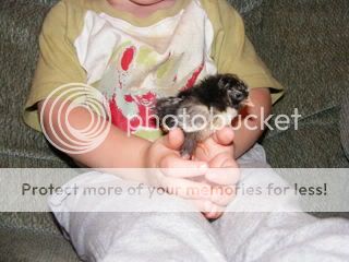 DSCF0811.jpg