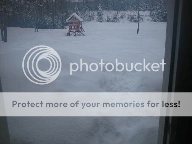 winter002.jpg