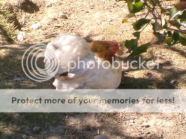 DSCF5022.jpg