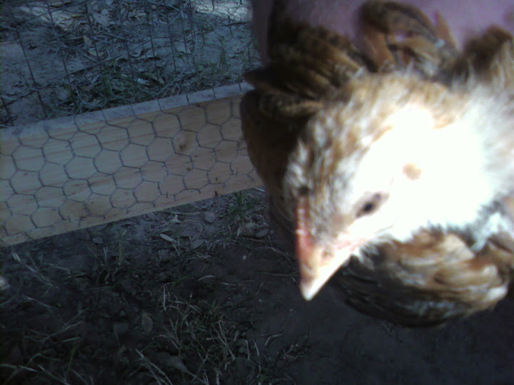 speckles%20head.jpg