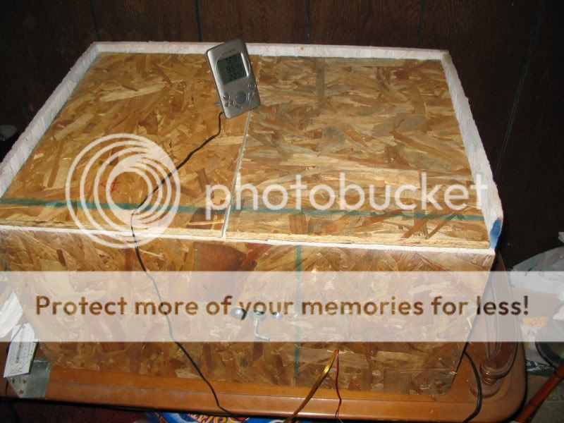 January2008036.jpg