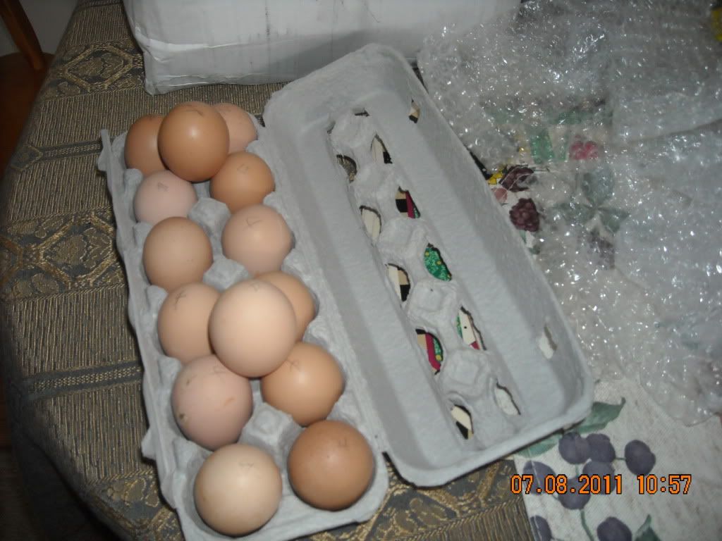 002-10.jpg