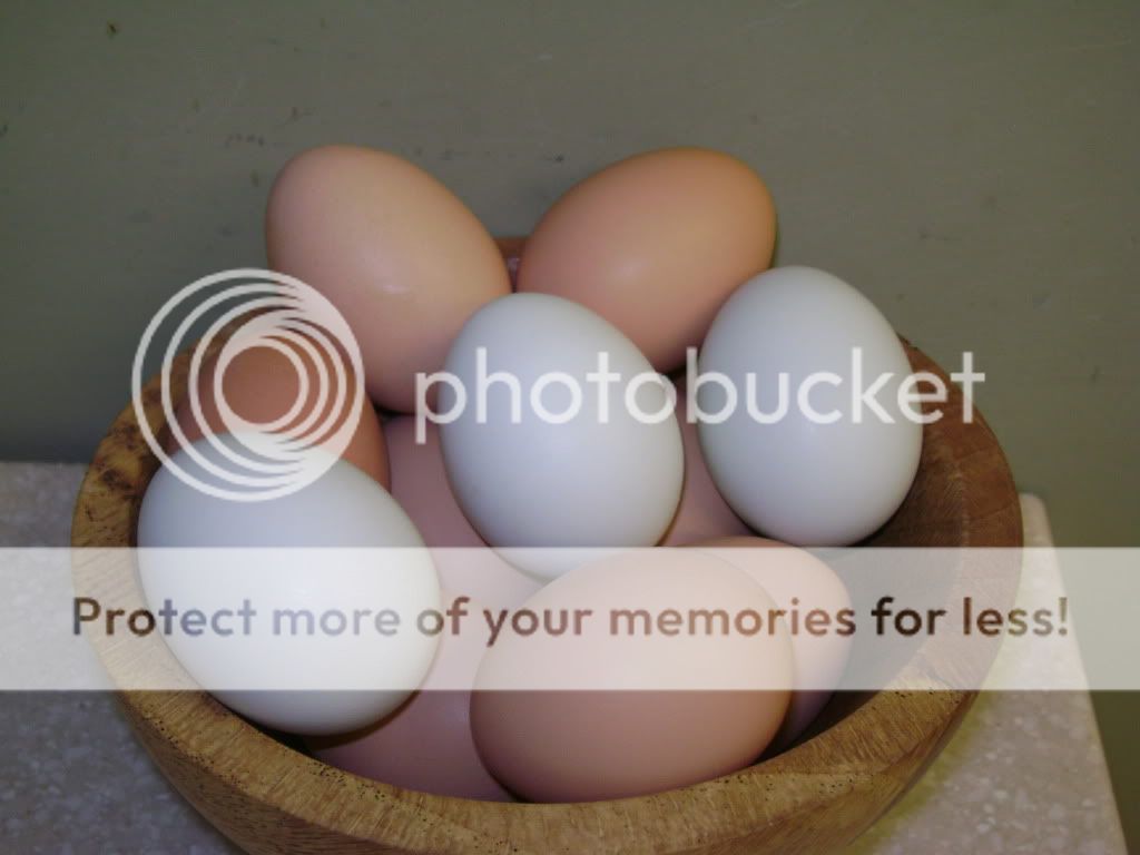 BowlofEggs.jpg