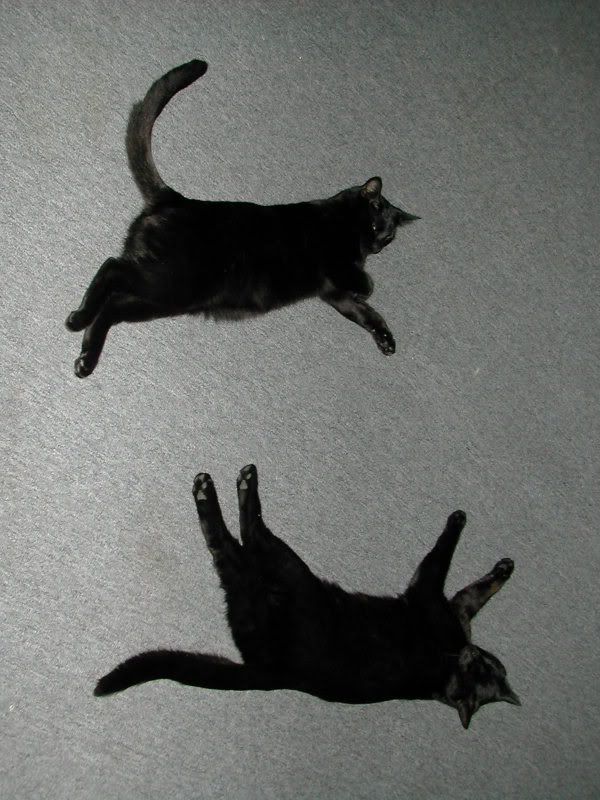 DSCN2477.jpg