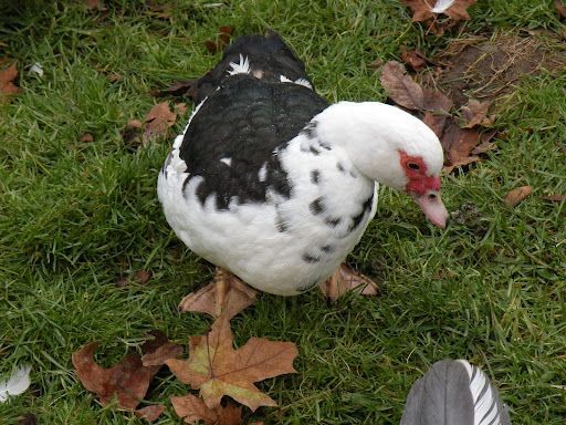 DSCN5410.JPG