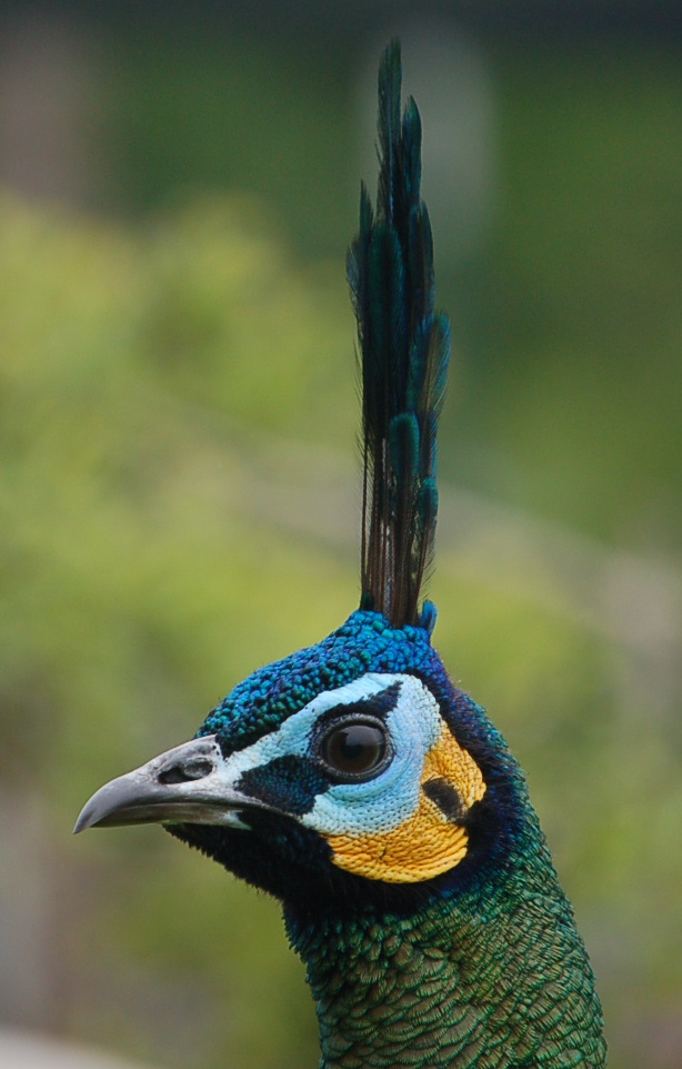 DSC_4460.JPG