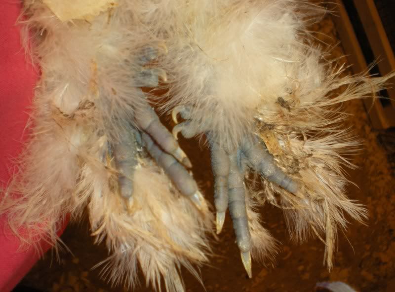 DSCN5139.jpg
