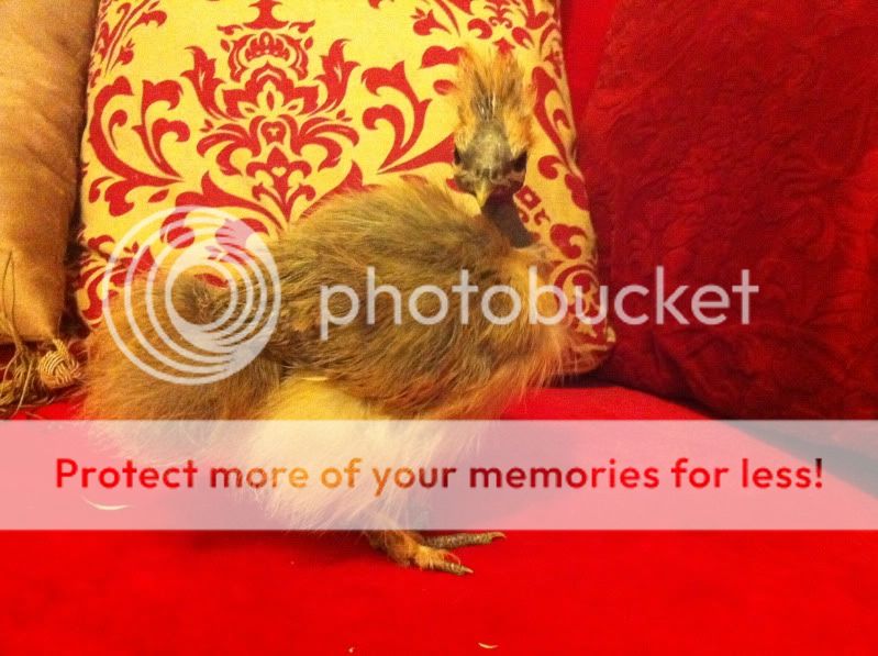photo13.jpg