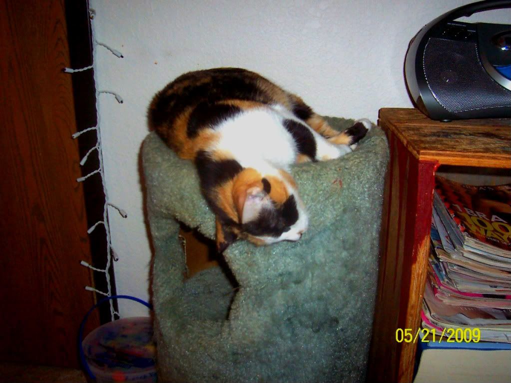 100_5726.jpg