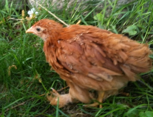photo11.jpg