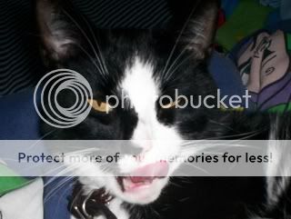 bucky2.jpg
