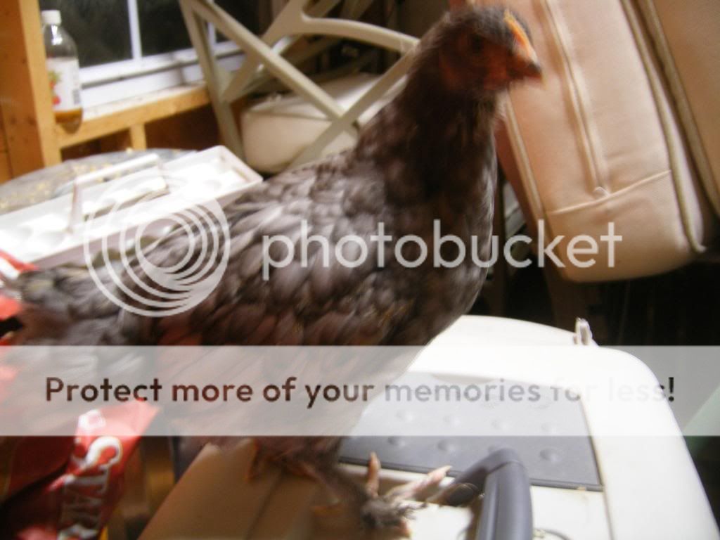 DSCF1889.jpg