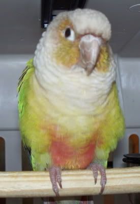 070322022224.jpg