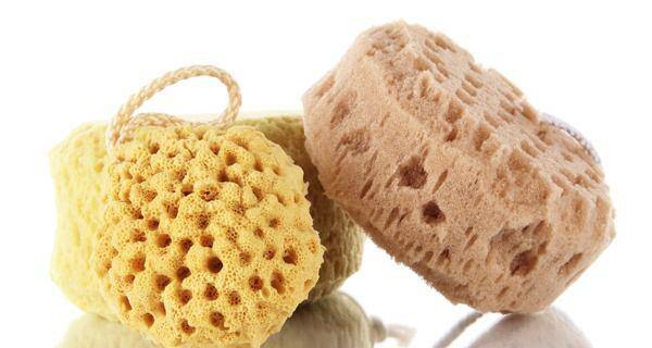 loofah.jpg