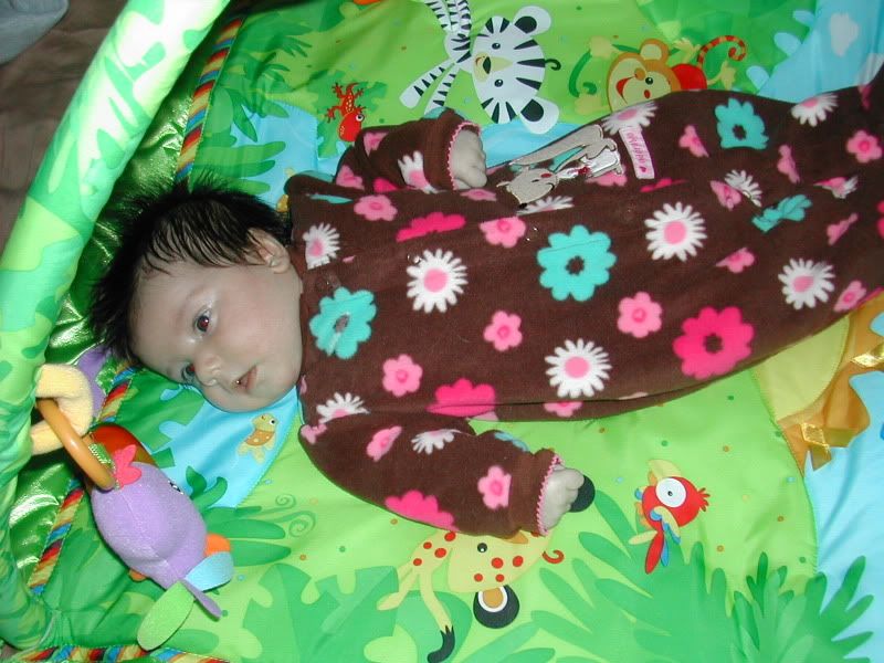 DSCN5606.jpg