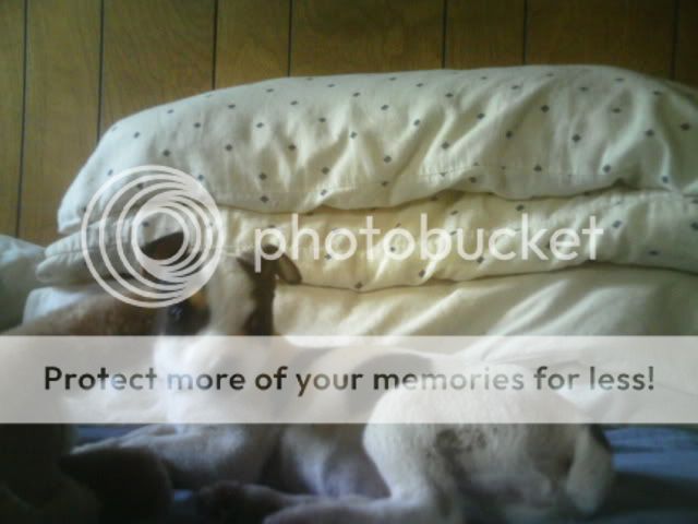PICT0881.jpg