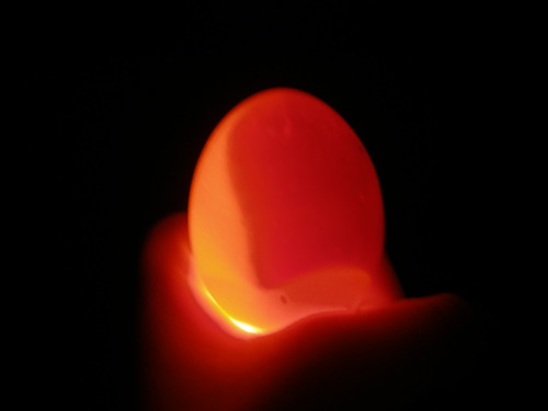 3334879700_b1405ee023.jpg