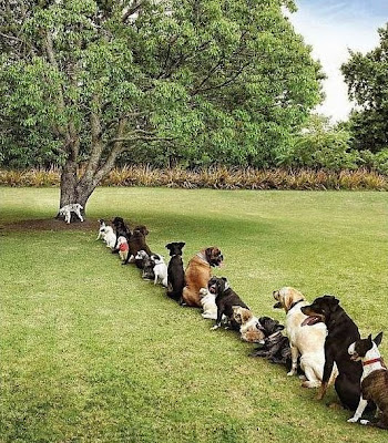 Attente.jpg