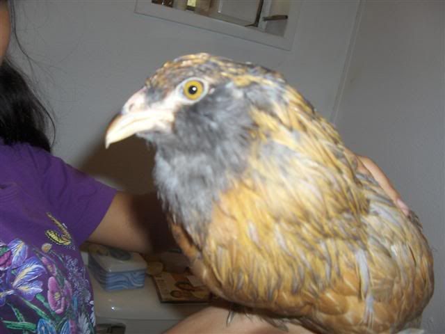 HPIM3117Small.jpg