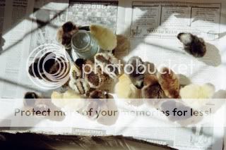 IMG005.jpg