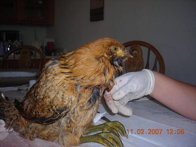 DSCN1306.jpg