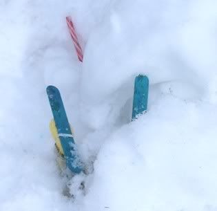 Ski7.jpg