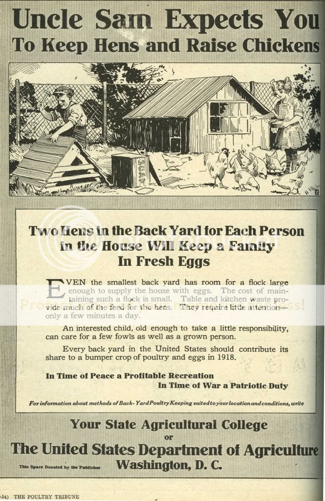 UncleSamsChickens.jpg
