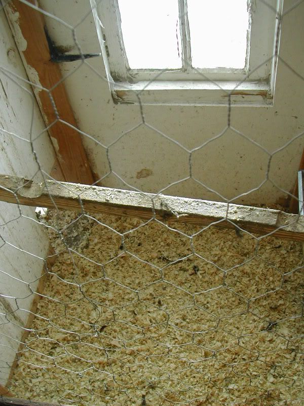 DSCN5023.jpg