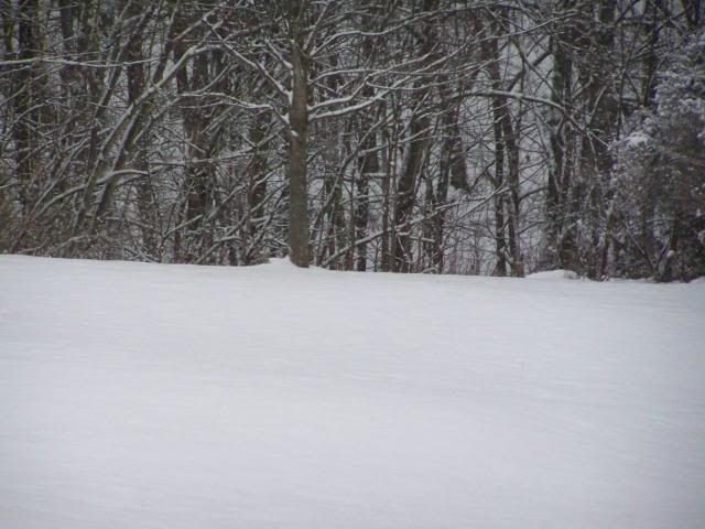 snow004.jpg