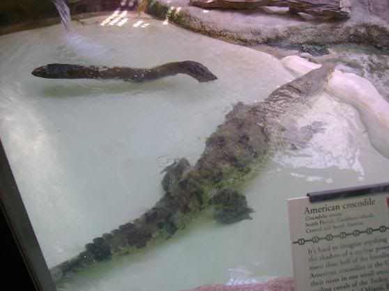 zoo13.jpg