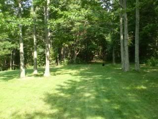 Picture136-1.jpg