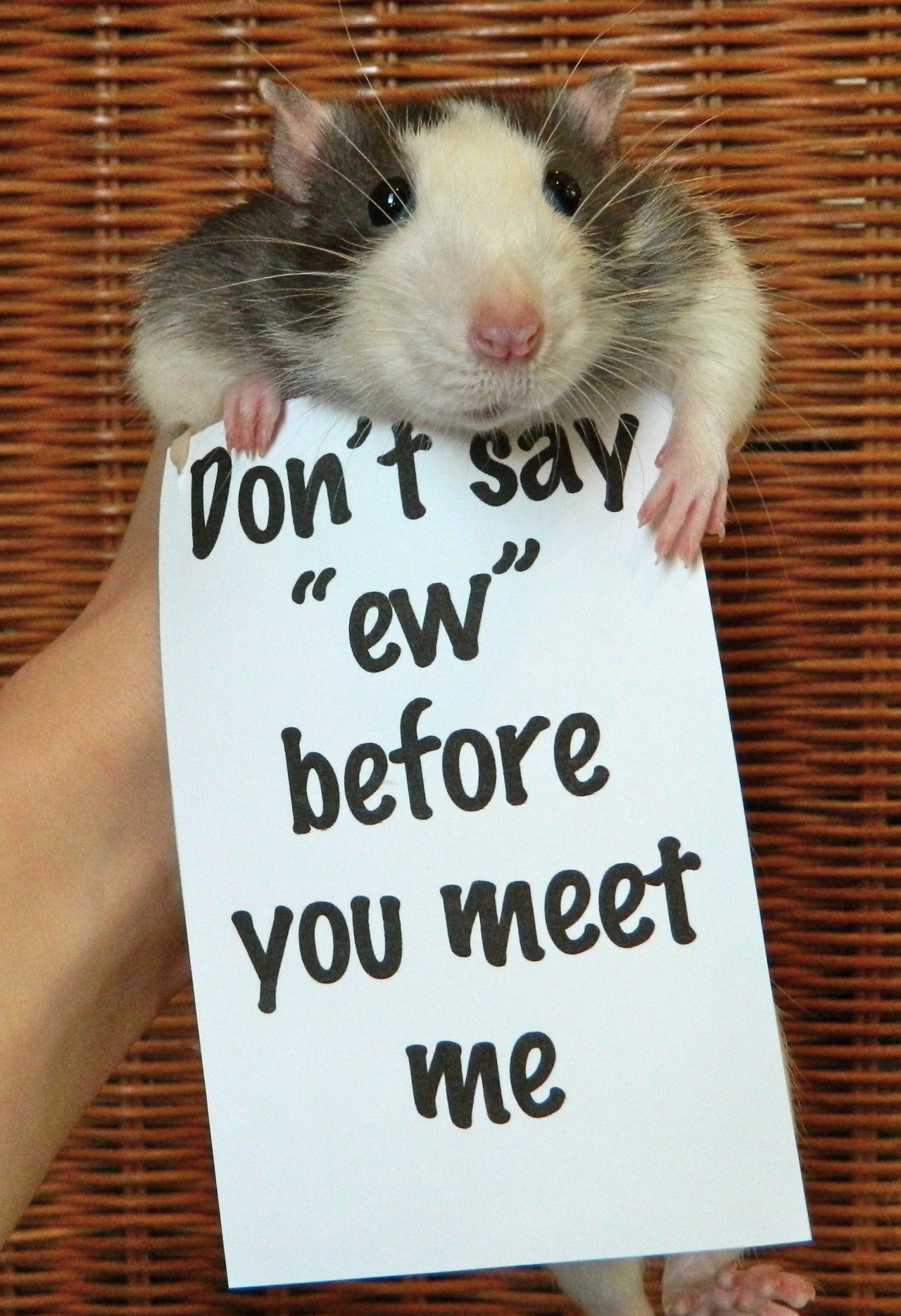 tumblr_mgubcysnFl1rfp3s9o3_1280.jpg