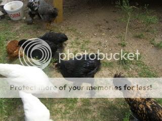 20080713_49.jpg