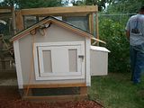 th_100_0554.jpg