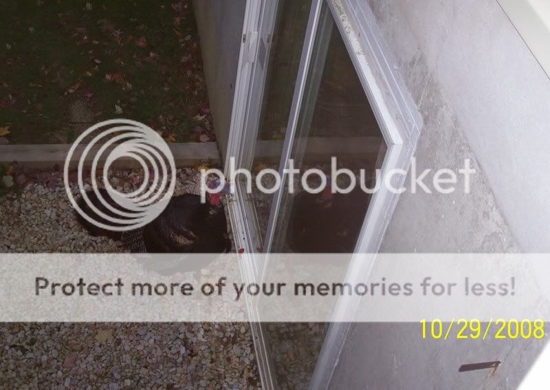 100_5892.jpg